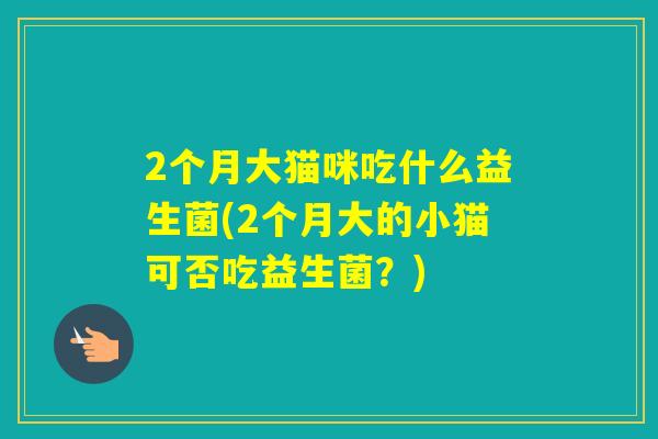 2个月大猫咪吃什么益生菌(2个月大的小猫可否吃益生菌？)
