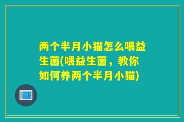 两个半月小猫怎么喂益生菌(喂益生菌，教你如何养两个半月小猫)