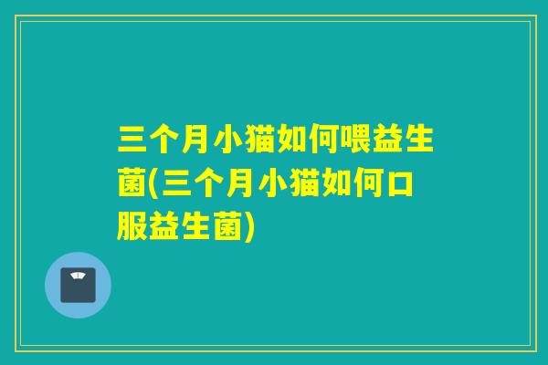 三个月小猫如何喂益生菌(三个月小猫如何口服益生菌)
