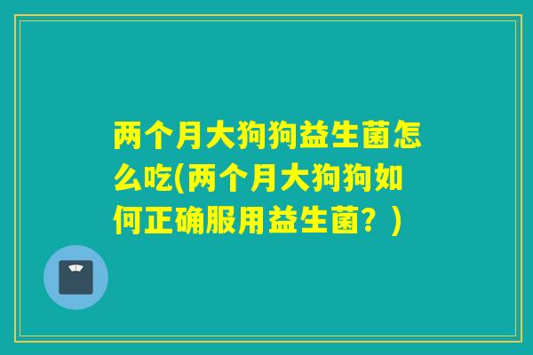 两个月大狗狗益生菌怎么吃(两个月大狗狗如何正确服用益生菌？)