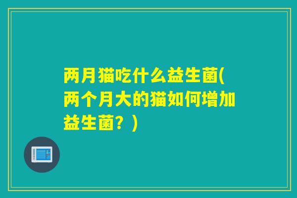 两月猫吃什么益生菌(两个月大的猫如何增加益生菌？)