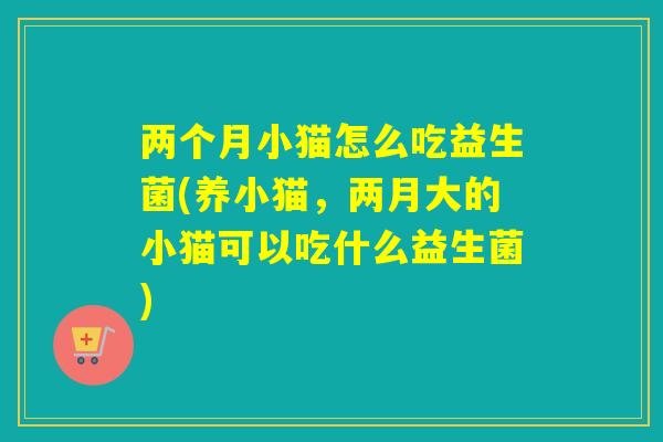 两个月小猫怎么吃益生菌(养小猫,两月大的小猫可以吃什么益生菌) 两个月小猫怎么吃益生菌(养小猫,两月大的小猫可以吃什么益生菌)
