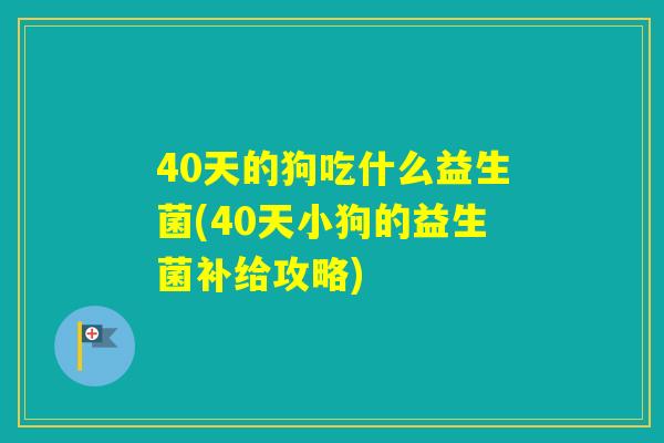 40天的狗吃什么益生菌(40天小狗的益生菌补给攻略)