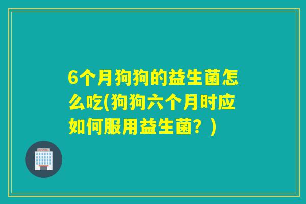 6个月狗狗的益生菌怎么吃(狗狗六个月时应如何服用益生菌?) 6个月狗狗的益生菌怎么吃(狗狗六个月时应如何服用益生菌?)