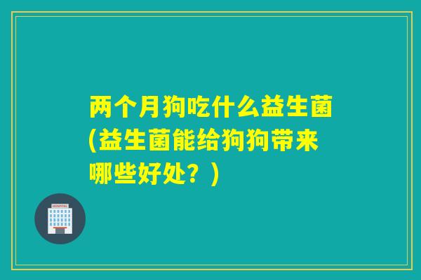 两个月狗吃什么益生菌(益生菌能给狗狗带来哪些好处？)