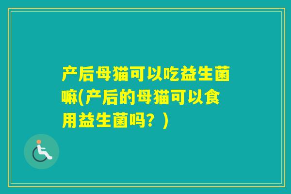 产后母猫可以吃益生菌嘛(产后的母猫可以食用益生菌吗？)