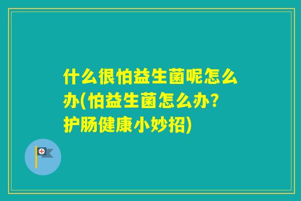 什么很怕益生菌呢怎么办(怕益生菌怎么办？护肠健康小妙招)