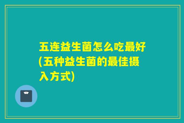 五连益生菌怎么吃好(五种益生菌的佳摄入方式)