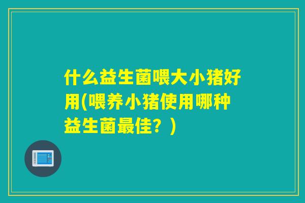 什么益生菌喂大小猪好用(喂养小猪使用哪种益生菌佳?) 什么益生菌喂大小猪好用(喂养小猪使用哪种益生菌佳?)