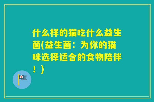 什么样的猫吃什么益生菌(益生菌：为你的猫咪选择适合的食物陪伴！)