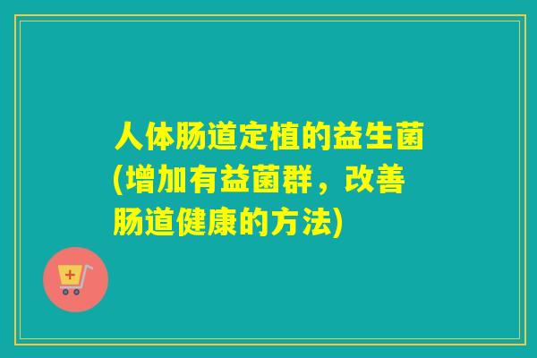 人体肠道定植的益生菌(增加有益菌群，改善肠道健康的方法)