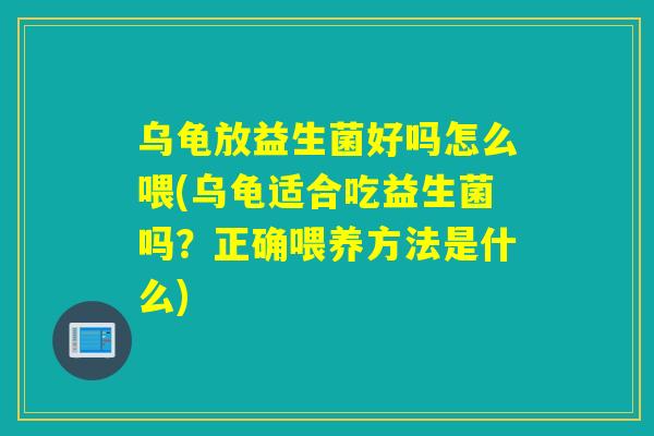 乌龟放益生菌好吗怎么喂(乌龟适合吃益生菌吗？正确喂养方法是什么)