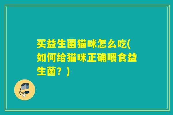 买益生菌猫咪怎么吃(如何给猫咪正确喂食益生菌？)