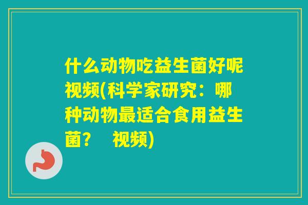 什么动物吃益生菌好呢视频(科学家研究：哪种动物适合食用益生菌？  视频)