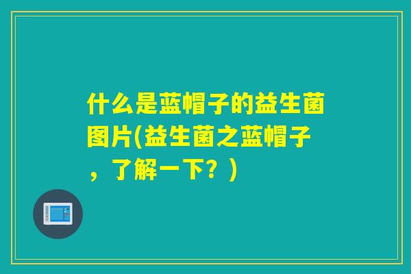 什么是蓝帽子的益生菌图片(益生菌之蓝帽子,了解一下?) 什么是蓝帽子的益生菌图片(益生菌之蓝帽子,了解一下?)