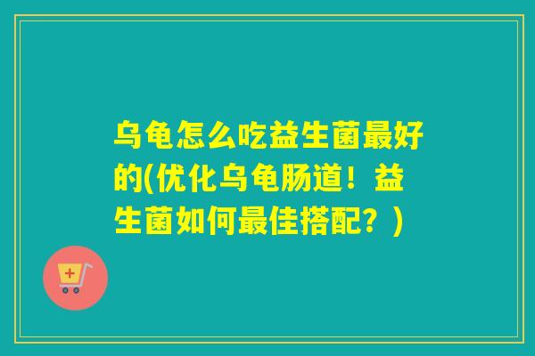 乌龟怎么吃益生菌好的(优化乌龟肠道！益生菌如何佳搭配？)