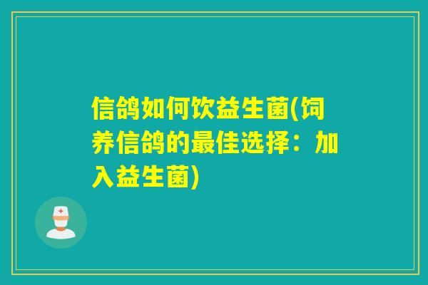 信鸽如何饮益生菌(饲养信鸽的佳选择：加入益生菌)