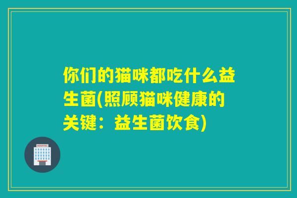你们的猫咪都吃什么益生菌(照顾猫咪健康的关键：益生菌饮食)