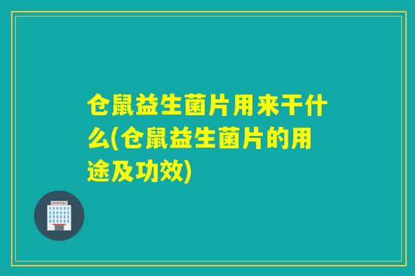 仓鼠益生菌片用来干什么(仓鼠益生菌片的用途及功效) 仓鼠益生菌片用来干什么(仓鼠益生菌片的用途及功效)