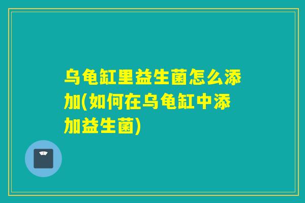 乌龟缸里益生菌怎么添加(如何在乌龟缸中添加益生菌)