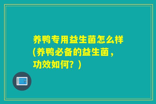 养鸭专用益生菌怎么样(养鸭必备的益生菌，功效如何？)