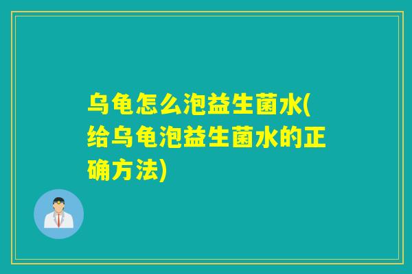 乌龟怎么泡益生菌水(给乌龟泡益生菌水的正确方法)