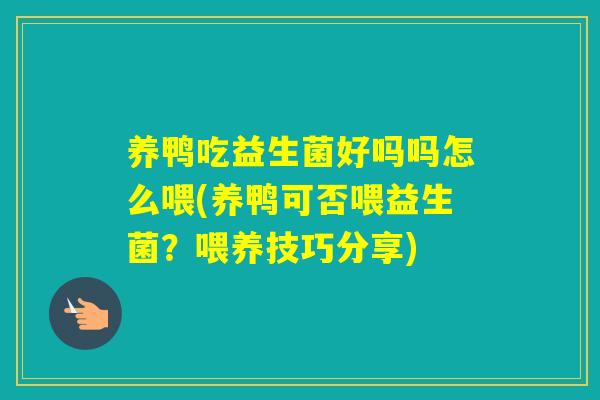养鸭吃益生菌好吗吗怎么喂(养鸭可否喂益生菌？喂养技巧分享)