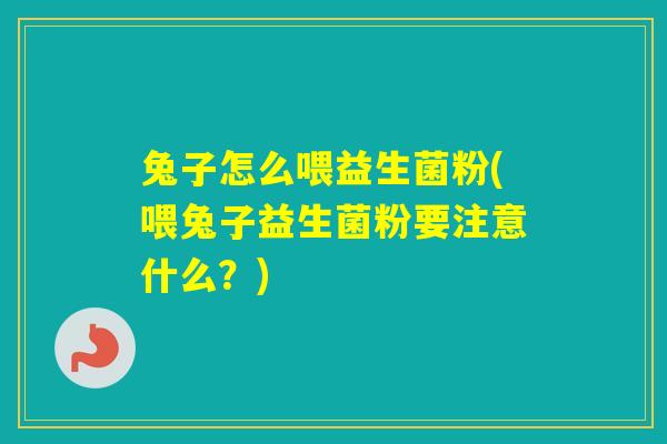 兔子怎么喂益生菌粉(喂兔子益生菌粉要注意什么？)