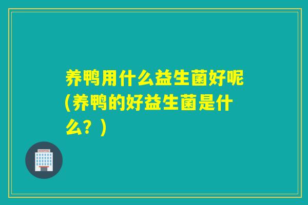 养鸭用什么益生菌好呢(养鸭的好益生菌是什么？)