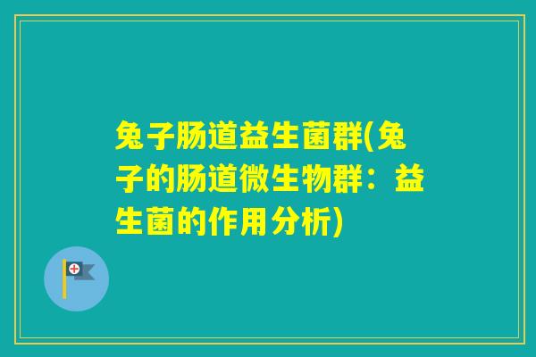 兔子肠道益生菌群(兔子的肠道微生物群：益生菌的作用分析)