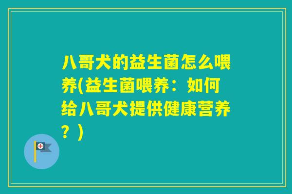 八哥犬的益生菌怎么喂养(益生菌喂养：如何给八哥犬提供健康营养？)