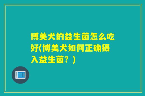 博美犬的益生菌怎么吃好(博美犬如何正确摄入益生菌？)