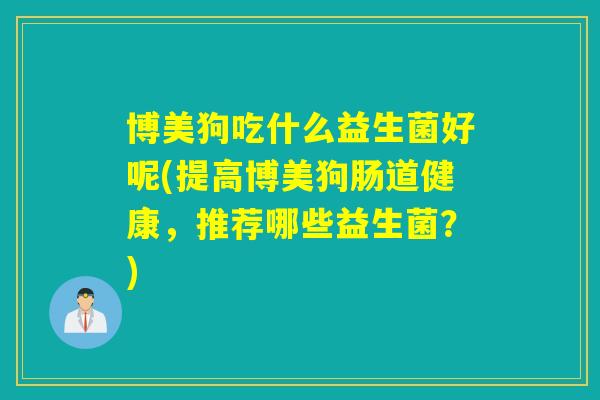 博美狗吃什么益生菌好呢(提高博美狗肠道健康，推荐哪些益生菌？)