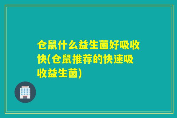 仓鼠什么益生菌好吸收快(仓鼠推荐的快速吸收益生菌)