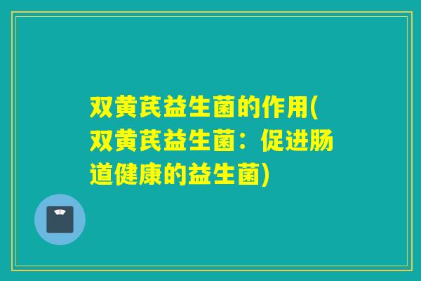 双黄芪益生菌的作用(双黄芪益生菌：促进肠道健康的益生菌)