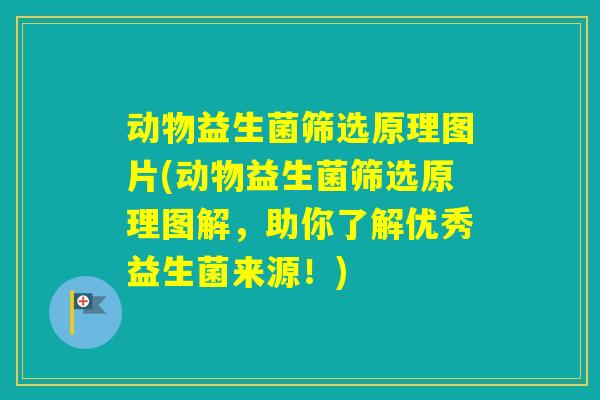 动物益生菌筛选原理图片(动物益生菌筛选原理图解，助你了解优秀益生菌来源！)