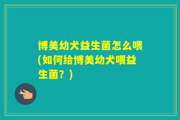博美幼犬益生菌怎么喂(如何给博美幼犬喂益生菌？)