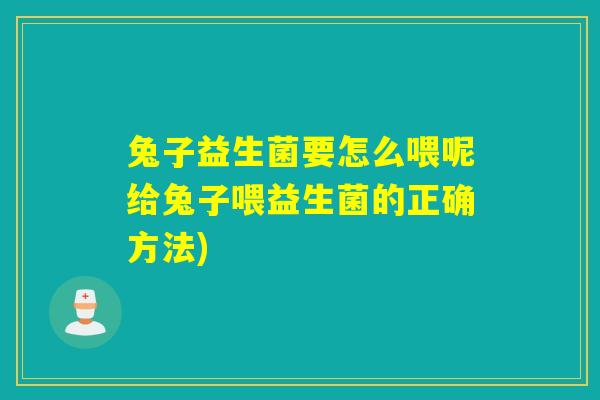 兔子益生菌要怎么喂呢给兔子喂益生菌的正确方法)