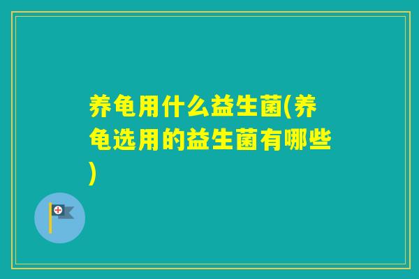 养龟用什么益生菌(养龟选用的益生菌有哪些)