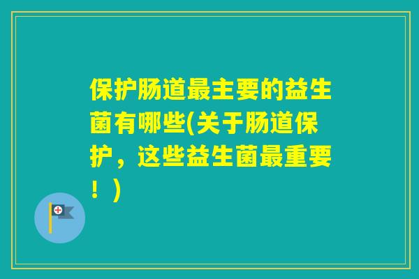 保护肠道主要的益生菌有哪些(关于肠道保护，这些益生菌重要！)