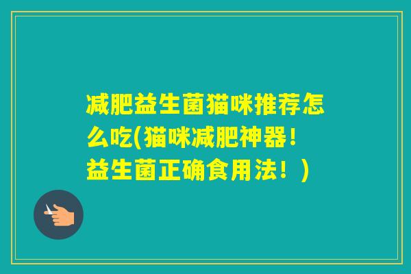 益生菌猫咪推荐怎么吃(猫咪神器！益生菌正确食用法！)