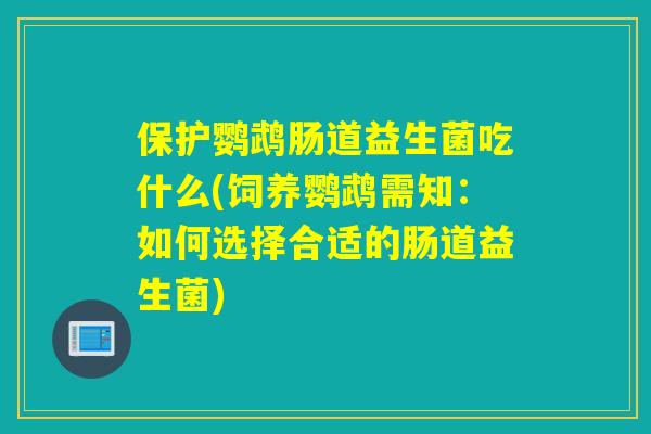 保护鹦鹉肠道益生菌吃什么(饲养鹦鹉需知：如何选择合适的肠道益生菌)