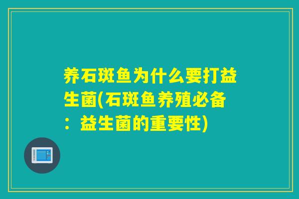 养石斑鱼为什么要打益生菌(石斑鱼养殖必备：益生菌的重要性)
