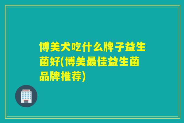 博美犬吃什么牌子益生菌好(博美佳益生菌品牌推荐)