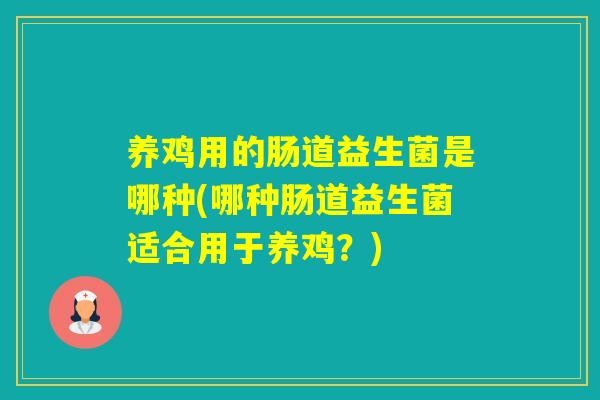 养鸡用的肠道益生菌是哪种(哪种肠道益生菌适合用于养鸡？)