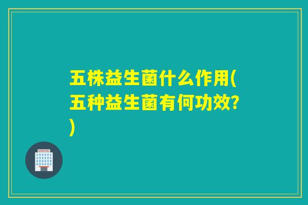 五株益生菌什么作用(五种益生菌有何功效？)