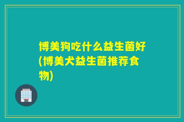 博美狗吃什么益生菌好(博美犬益生菌推荐食物)