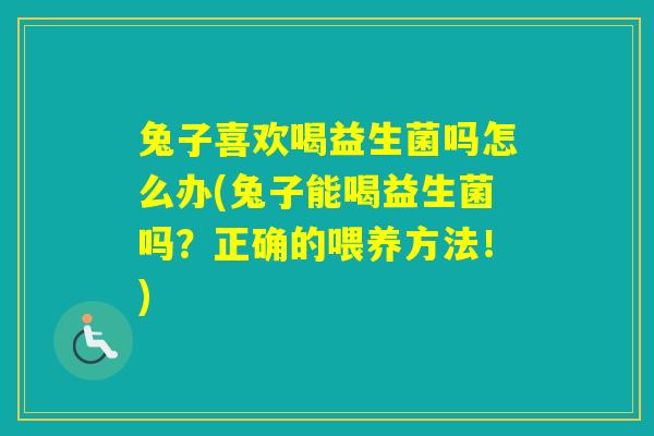 兔子喜欢喝益生菌吗怎么办(兔子能喝益生菌吗？正确的喂养方法！)