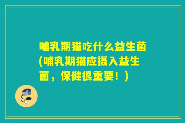 哺乳期猫吃什么益生菌(哺乳期猫应摄入益生菌,保健很重要!) 哺乳期猫吃什么益生菌(哺乳期猫应摄入益生菌,保健很重要!)