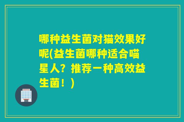 哪种益生菌对猫效果好呢(益生菌哪种适合喵星人？推荐一种高效益生菌！)